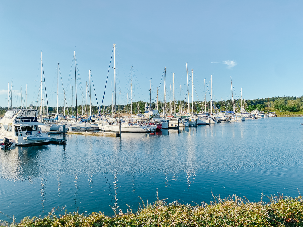 Point St Roberts Blog — Stories & Tips from Point Roberts | Visit Point Roberts